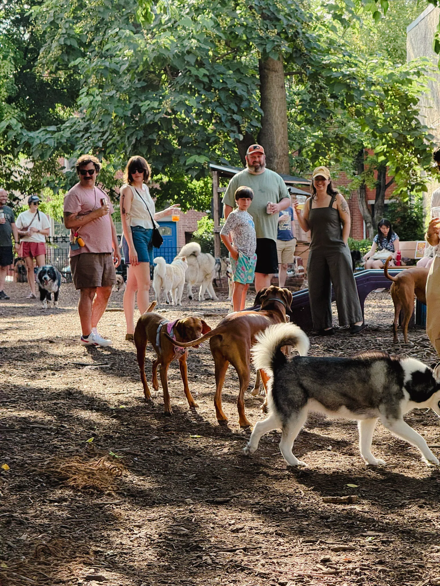 Neighbors and their dogs gathered in the park on a sunny day