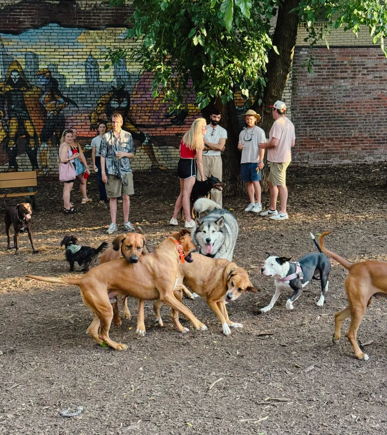 Neighbors and their dogs gathered by the mural at a park event