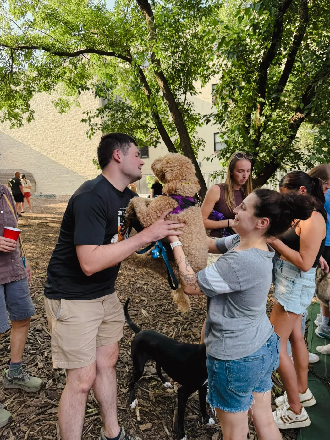 Neighbors greeting each other and their dogs in the Dog Run
