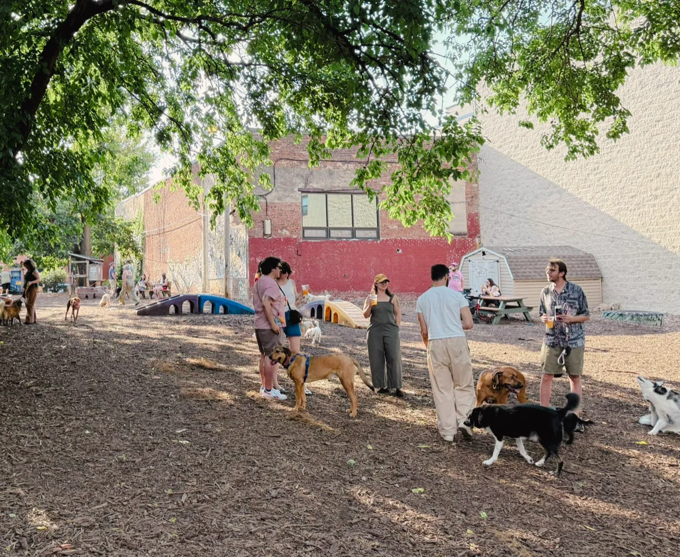Neighbors and dogs under the trees in the Dog Run